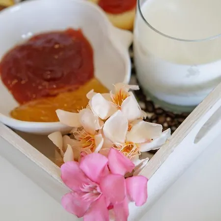 Savvas Tolón